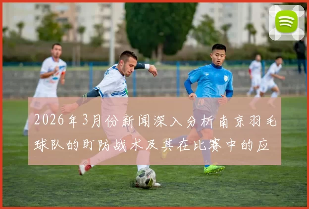 2026年3月份新闻深入分析南京羽毛球队的盯防战术及其在比赛中的应用效果
